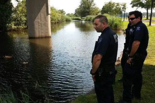 Police hard at work searching for the rogue gator.